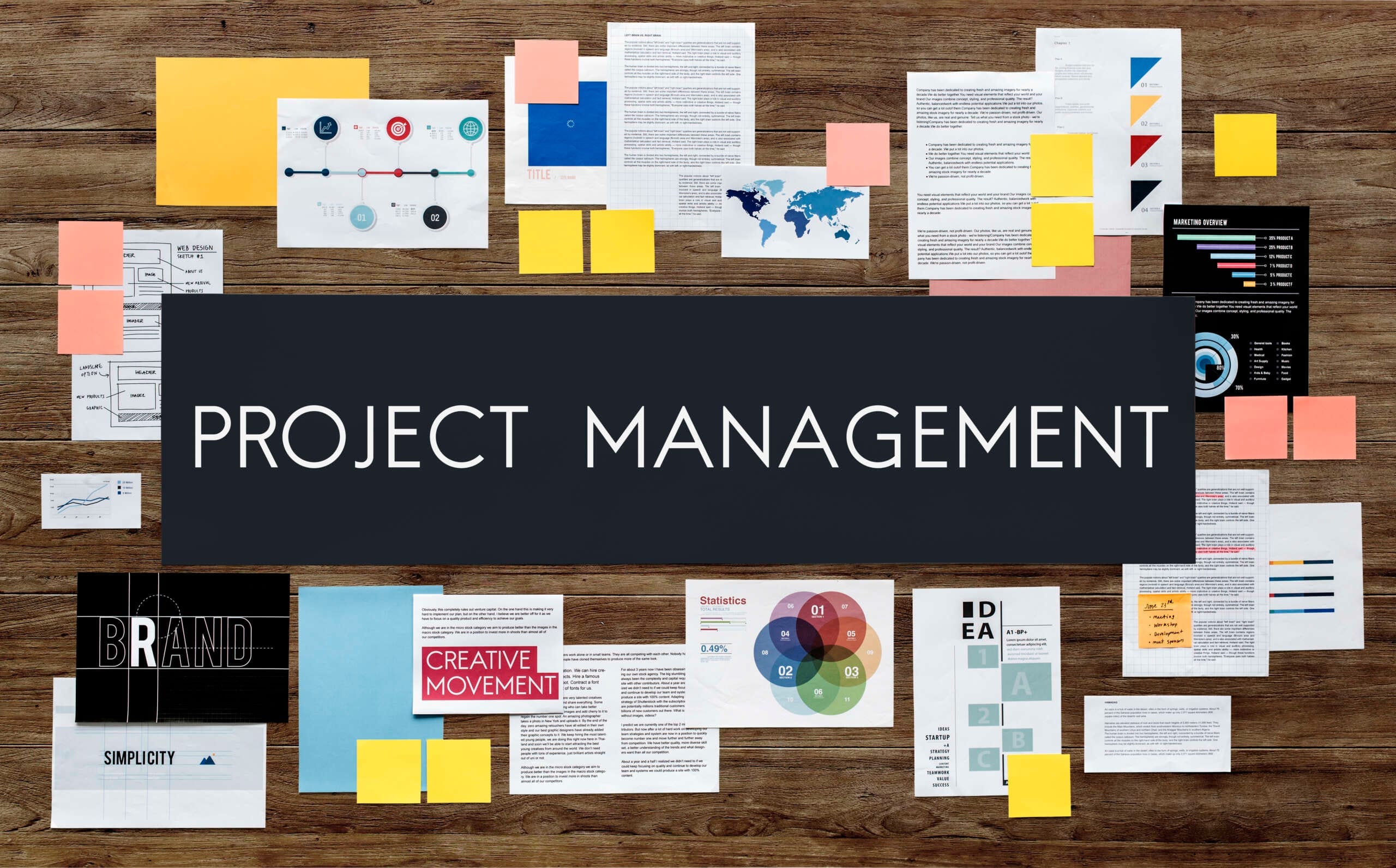 Project Management Services